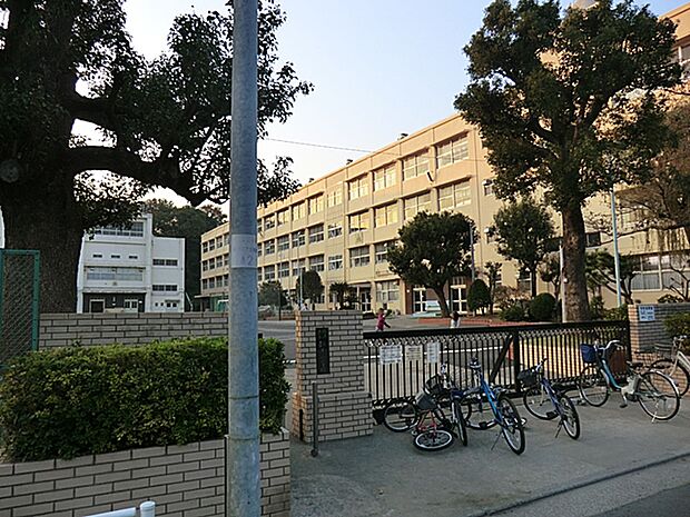 横浜市立新井小学校 1300m