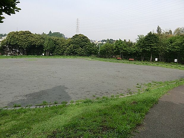 白根東公園 510m