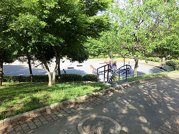 清水ケ丘公園 800m