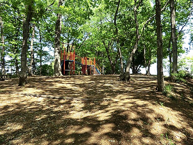 新橋天神の森公園　800ｍ