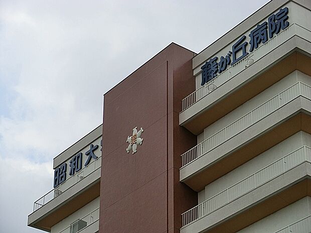 昭和大学藤が丘病院 480m