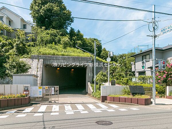 秋葉小学校？850m