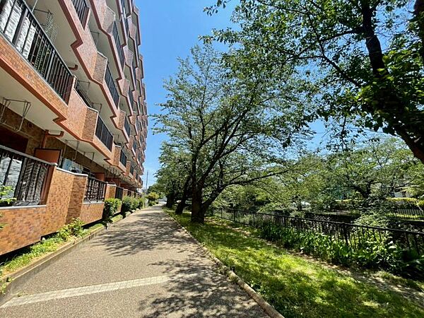 マンション裏の通路