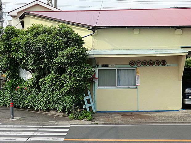若葉保育園？　480m