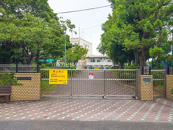 横浜市立根岸小学校　520ｍ