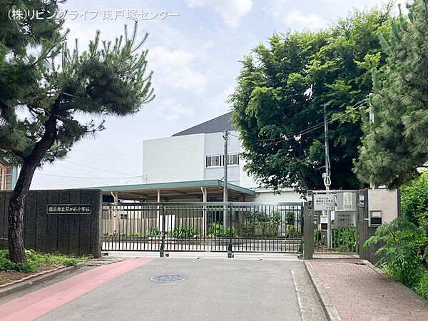 横浜市立芹が谷小学校　810ｍ