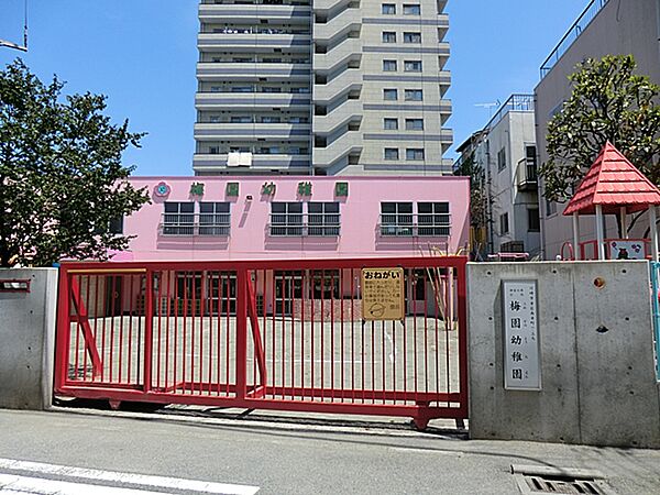 梅園幼稚園　210m