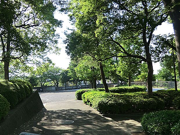 磯子谷第一公園？　250m？