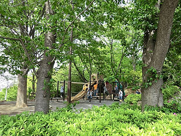 たちばな台公園? 350m