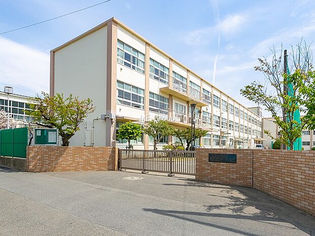 中学校 950m 茅ヶ崎市立松浪中学校