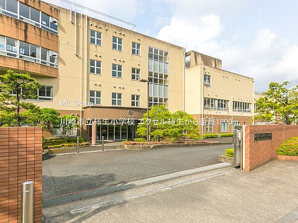 小学校 1800m 川崎市立柿生小学校