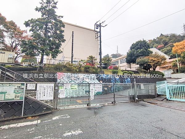 小学校 500m 横浜市立朝比奈小学校