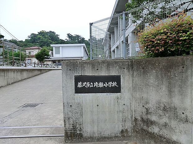 小学校 1000m 藤沢市立片瀬小学校