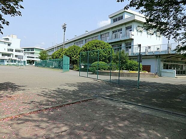 駅 550m 厚木市立緑ケ丘小学校