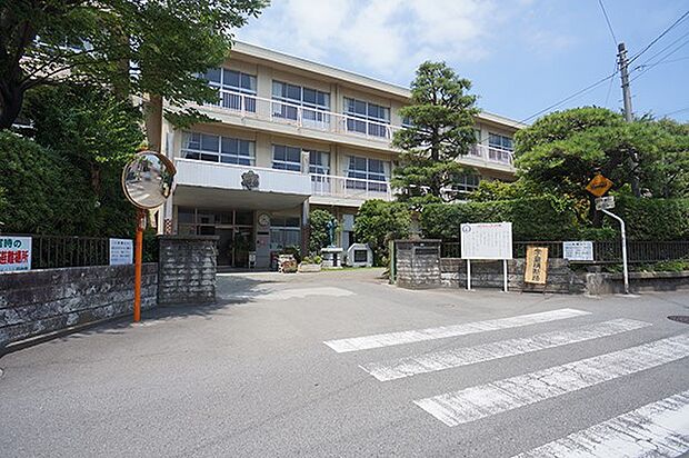 小学校 210m 小田原市立芦子小学校