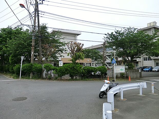 小学校 650m 横須賀市立長井小学校