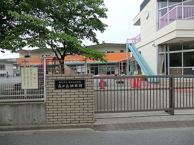 幼稚園・保育園 100m 森が丘幼稚園