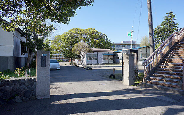 小学校 1330m 小田原市立酒匂小学校