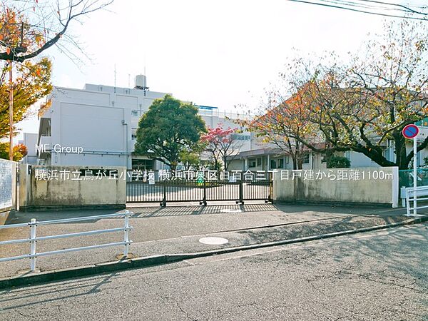 小学校 1100m 横浜市立鳥が丘小学校