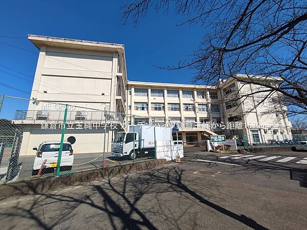中学校 1570m 鎌倉市立玉縄中学校