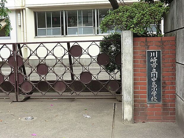 小学校 475m 川崎市立川中島小学校