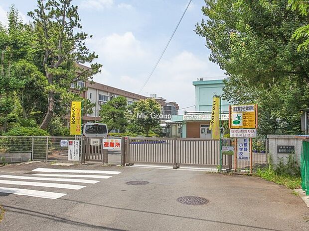 小学校 80m 座間市立相模野小学校