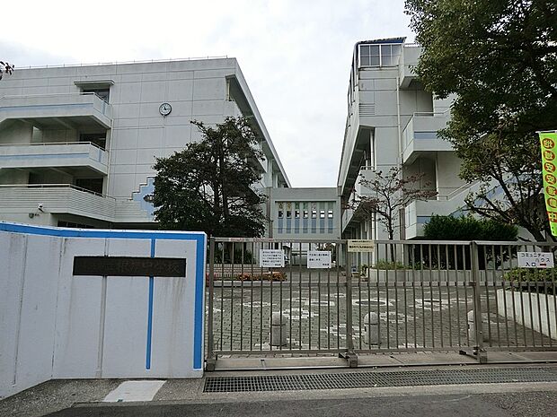 中学校 1100m 横浜市立根岸中学校