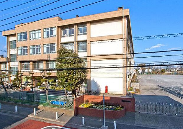 小学校 270m 藤沢市立亀井野小学校
