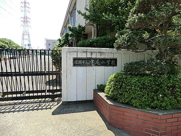 小学校 350m 綾瀬市立寺尾小学校