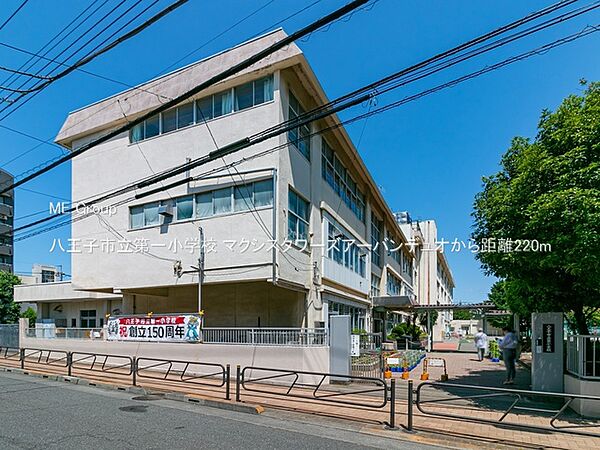 小学校 220m 八王子市立第一小学校