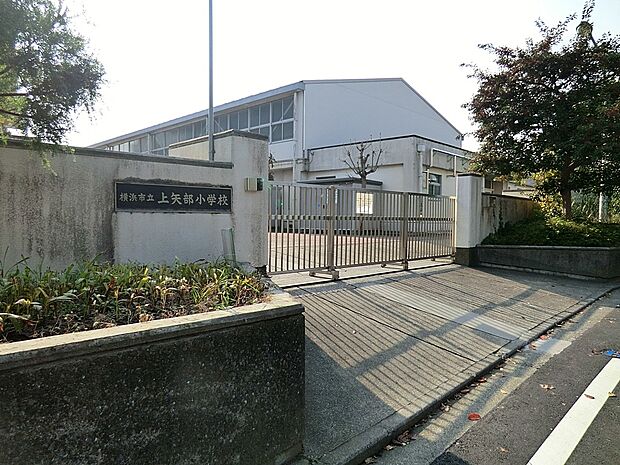 小学校 750m 横浜市立上矢部小学校