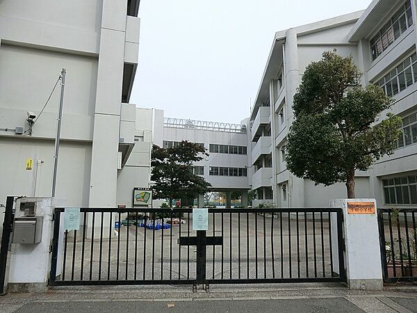 小学校 800m 横浜市立小田小学校