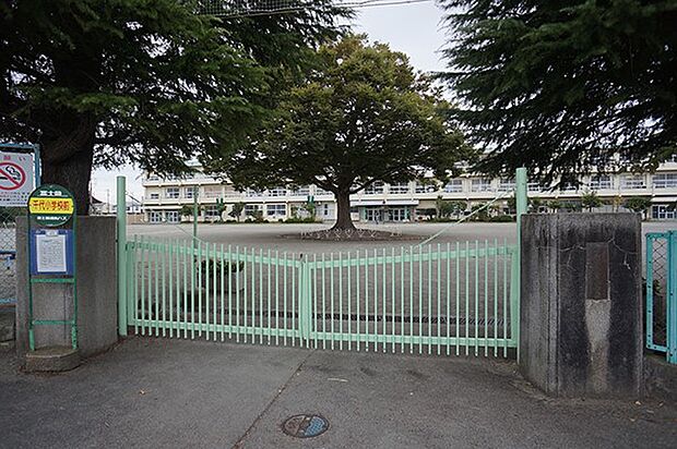 小学校 450m 小田原市立千代小学校