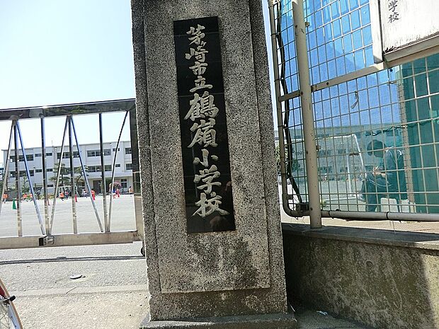 小学校 1100m 茅ヶ崎市立鶴嶺小学校