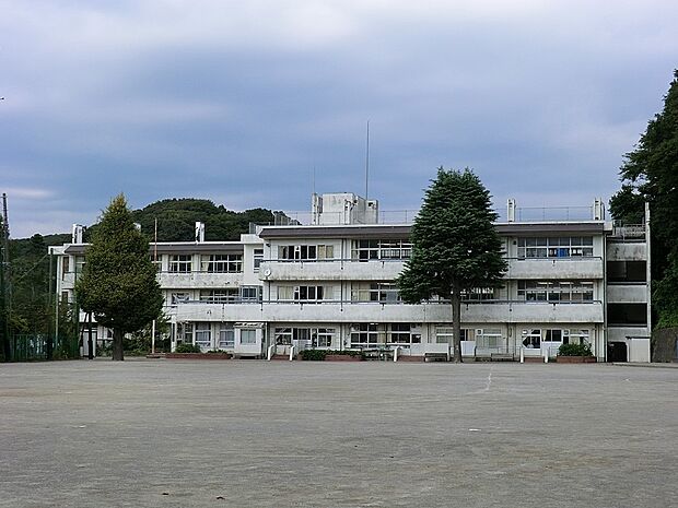 小学校 1125m 鎌倉市立第二小学校