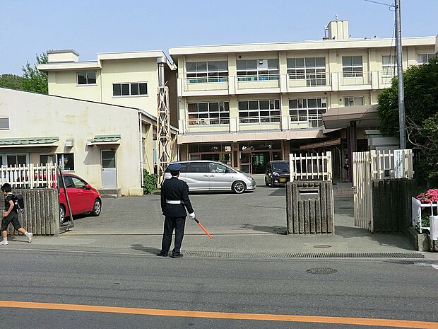 小学校 240m 鎌倉市立玉縄小学校
