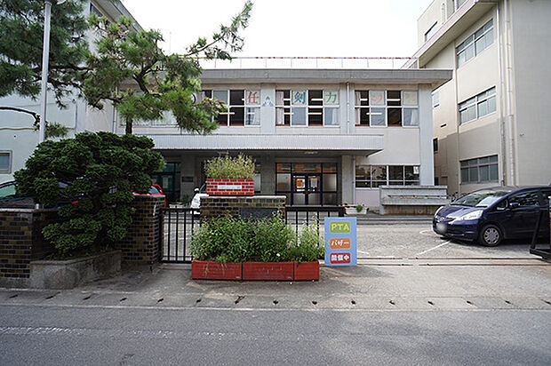 中学校 1300m 小田原市立泉中学校