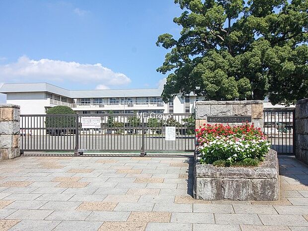 小学校 989m 相模原市立新磯小学校