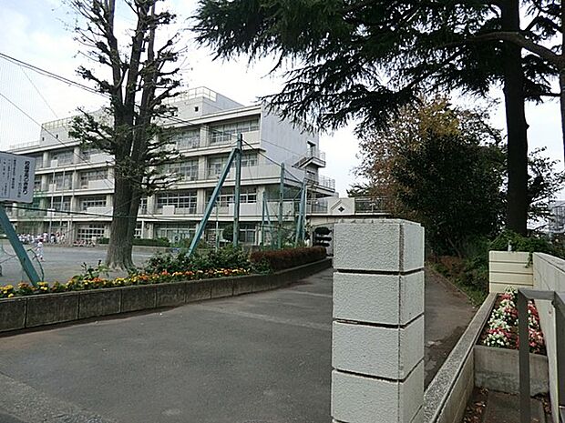 小学校 500m 横浜市立石川小学校