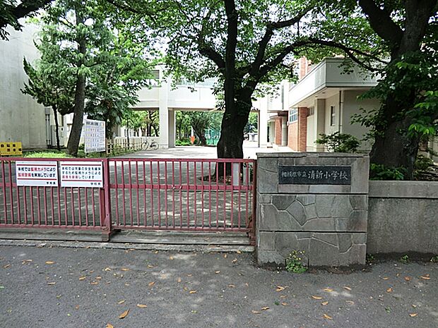 小学校 140m 相模原市立清新小学校