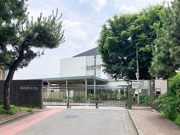 小学校 850m 横浜市立芹が谷小学校
