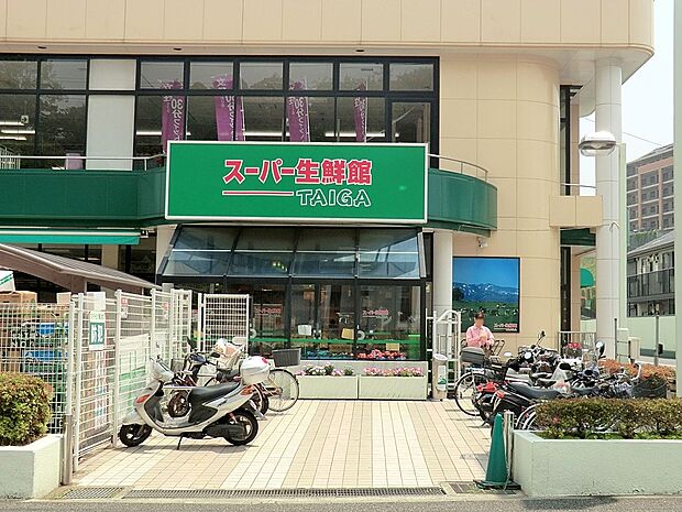 その他環境写真 800m TAIGA岡津店