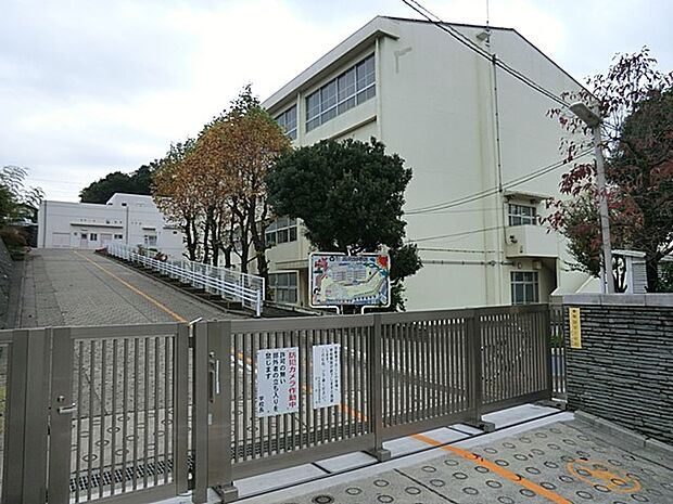 小学校 880m 横浜市立藤が丘小学校