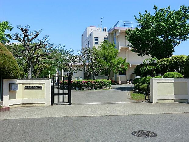小学校 500m 平塚市立南原小学校