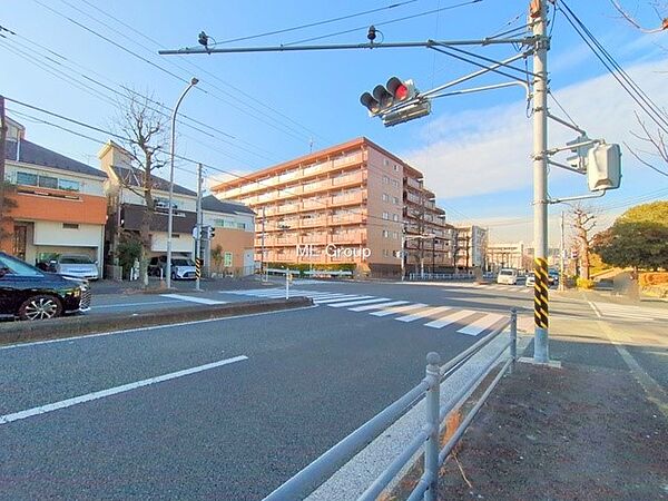 ■この道を歩けば、毎日が少し特別になる