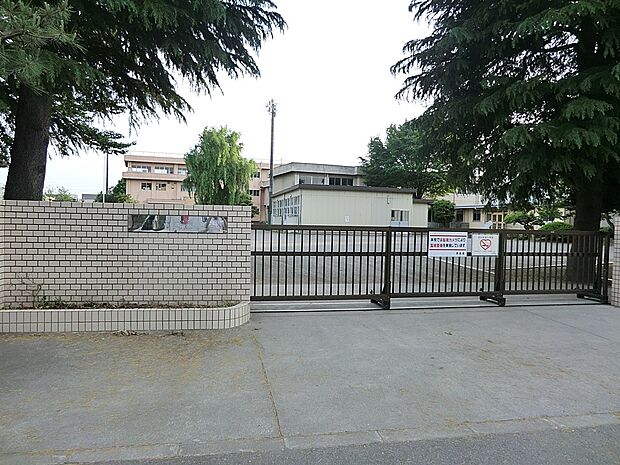 小学校 600m 相模原市立向陽小学校
