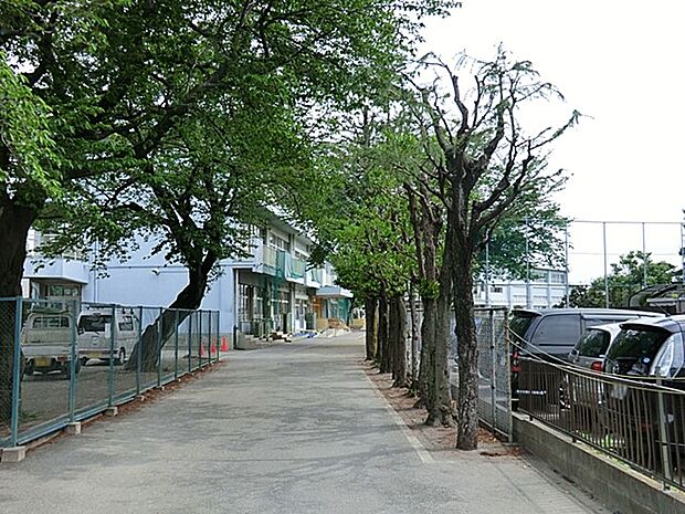 小学校 800m 町田市立南第三小学校