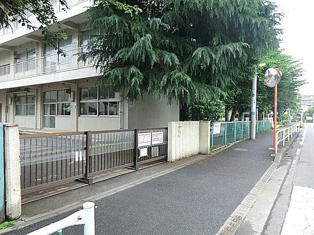 小学校 100m 相模原市立桜台小学校