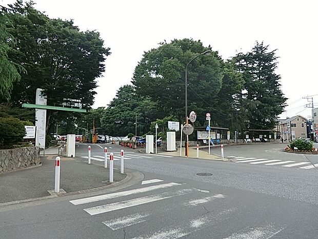 病院 350m 独立行政法人国立病院機構 相模原病院