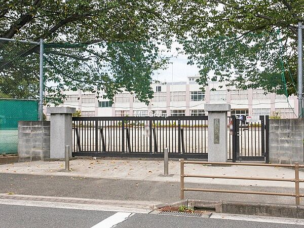 小学校 880m 大和市立桜丘小学校